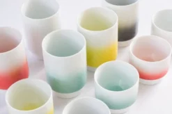 Asemi Hasami Gradient Cup - Large
