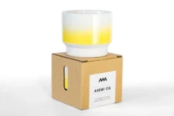Asemi Hasami Gradient Cup - Small