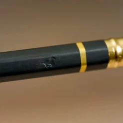 Blackwing Eras 2025 Edition - Set of 12