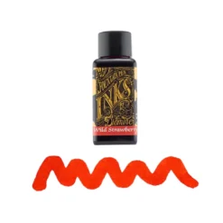 Diamine Fountain Pen Ink Bottle 30ml — Pink Colours