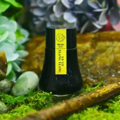 Dominant Industry Scented Fountain Pen Ink - 25ml