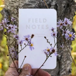 Field Notes Fall Limited Edition Notebooks [Birch Bark]
