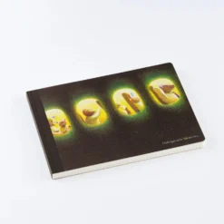 Hobonichi 2027 Accessories: Akiko Miyakoshi - Hobonichi Landscape Notebook (I Dream of a Journey)
