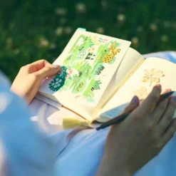 Hobonichi 2026 A6 5-Year Techo – Japanese Gift Edition: iyo okumi (2026–2030)