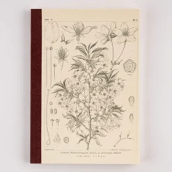 Hobonichi Graph Notebook [Tomitaro Makino: Yamazakura] A5