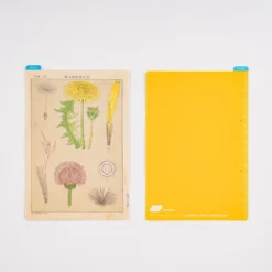 Hobonichi Pencil Board [Tomitaro Makino]