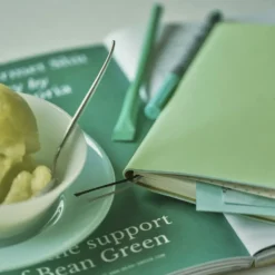 Hobonichi 2026 Weeks: Smooth - Melon Sorbet