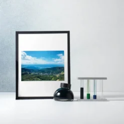 Kakimori Colour Specimen Inks [Limited Edition]