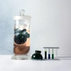 Kakimori Colour Specimen Inks [Limited Edition]