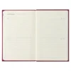 Midori 10 Year Diary - Dark Red