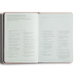 MiGOALS Gratitude Journal B6