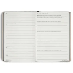 MiGOALS Undated Goal Digger Planner Classic [B5]