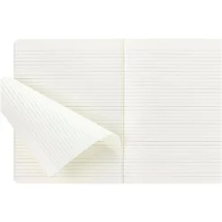 Moleskine Extra Large Cahier (Pack of 3) - Myrtle Green