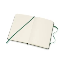 Moleskine Large Classic Notebook [Myrtle Green]