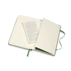Moleskine Large Classic Notebook [Myrtle Green]