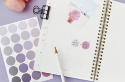 Paperian Colour Palette Stickers - Round
