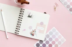 Paperian Colour Palette Stickers - Round