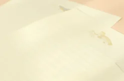 Paperian Letter Set - Sea
