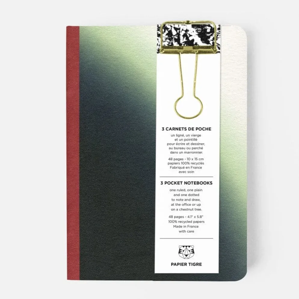 Papier Tigre Pocket Notebooks, The 3 Mercury