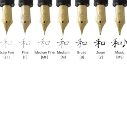 Sailor 1911 Standard Fountain Pen with Gold Trim