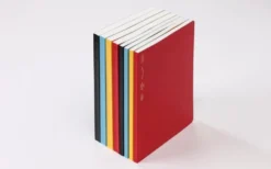 Stalogy 365Days Notebook (A6)