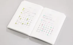 Stalogy 365Days Notebook (B6)