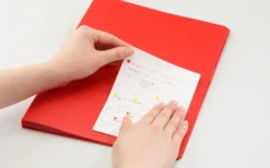 Stalogy Removable Calendar Sticker