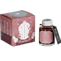 Teranishi Guitar Taisho Roman Haikara Fountain Pen Ink