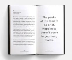 The School of Life 'Why You Will Marry The Wrong Person' Book