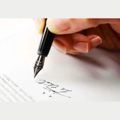 Tools to Live By Le Chat Fountain Pen