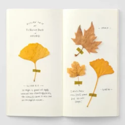 TRAVELER'S Company Notebook Refill 025 [MD Paper Cream]