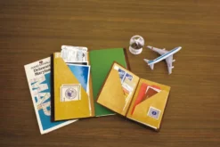 TRAVELER'S Company Passport Notebook - Brown