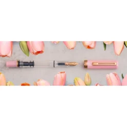 TWSBI ECO Pink Lemonade Bronze Fountain Pen