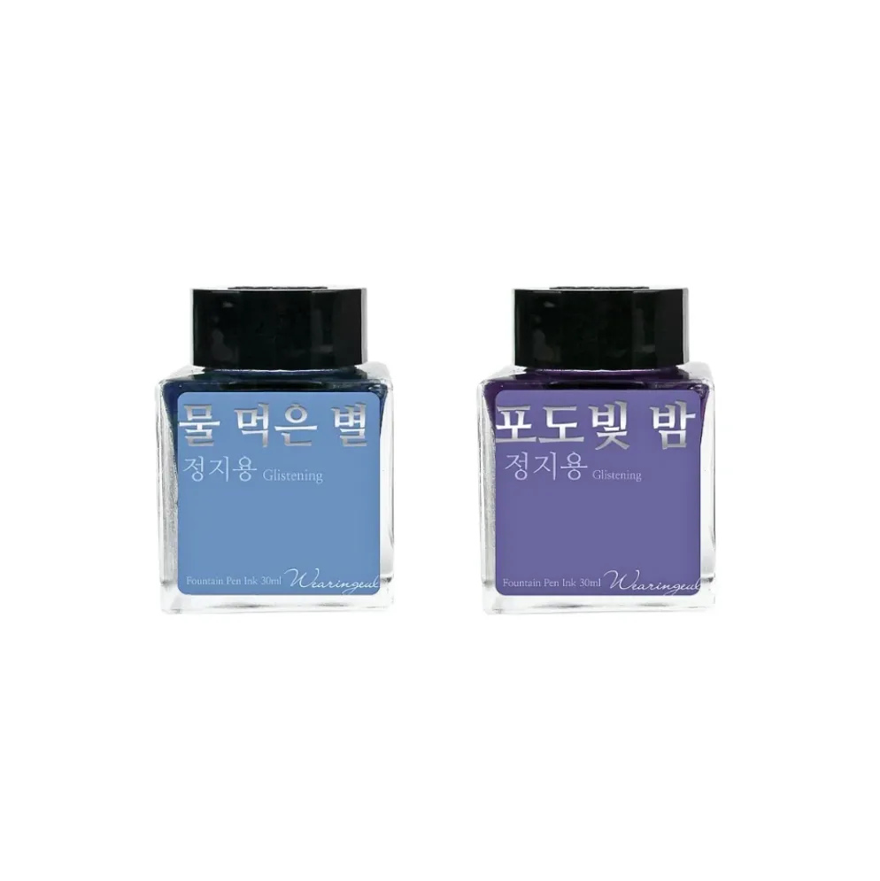 Wearingeul Jeong Jiyong Literature Fountain Pen Ink 30ml