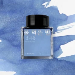 Wearingeul Jeong Jiyong Literature Fountain Pen Ink 30ml