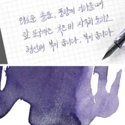 Wearingeul Jeong Jiyong Literature Fountain Pen Ink 30ml
