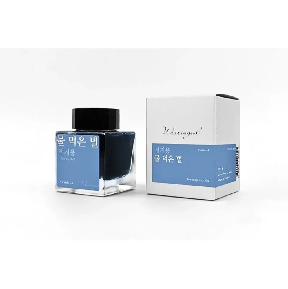 Wearingeul Jeong Jiyong Literature Fountain Pen Ink 30ml