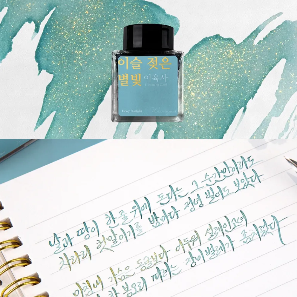 Wearingeul Lee Yuk Sa Literature Fountain Pen Ink – 30ml