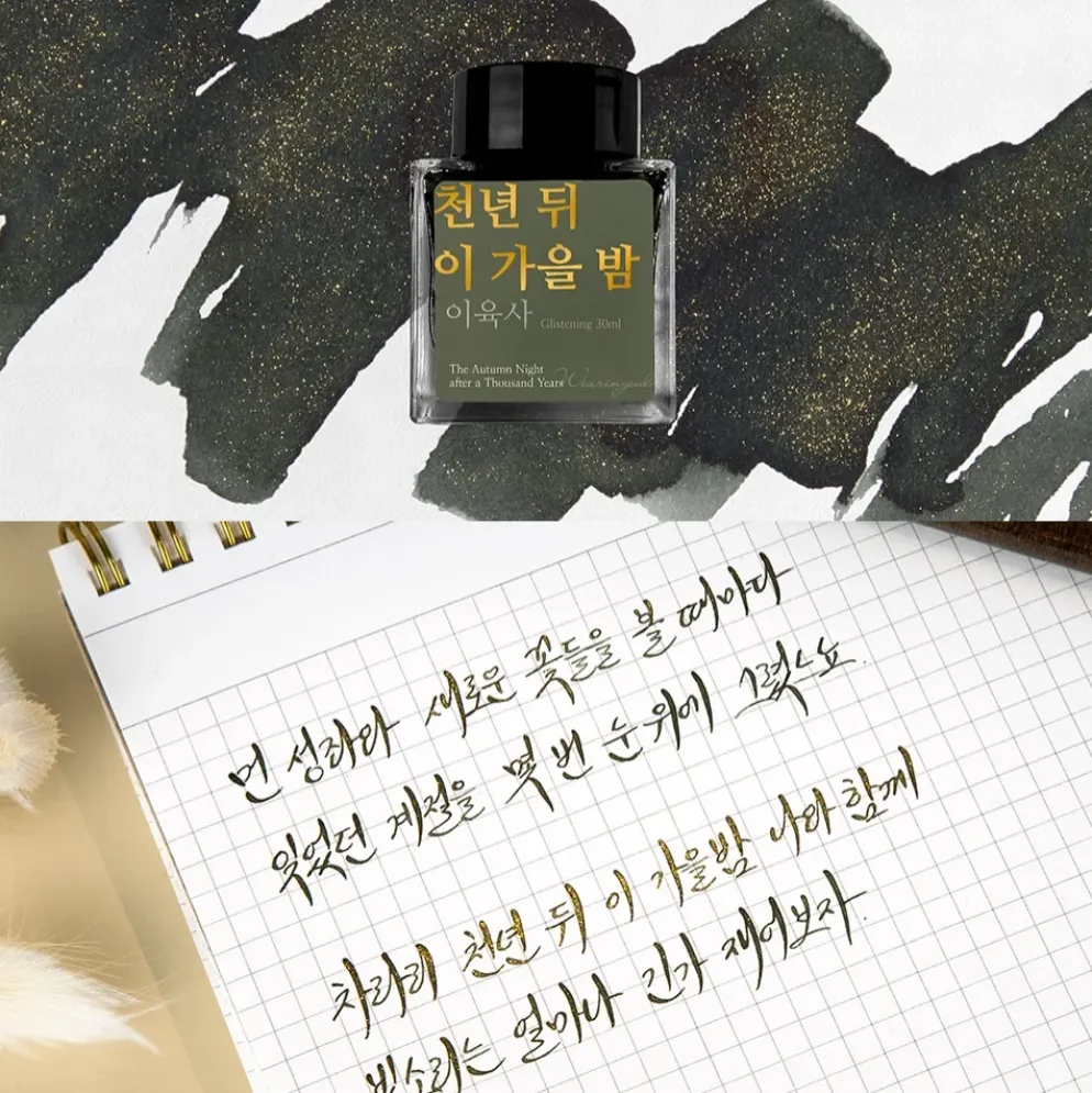 Wearingeul Lee Yuk Sa Literature Fountain Pen Ink – 30ml