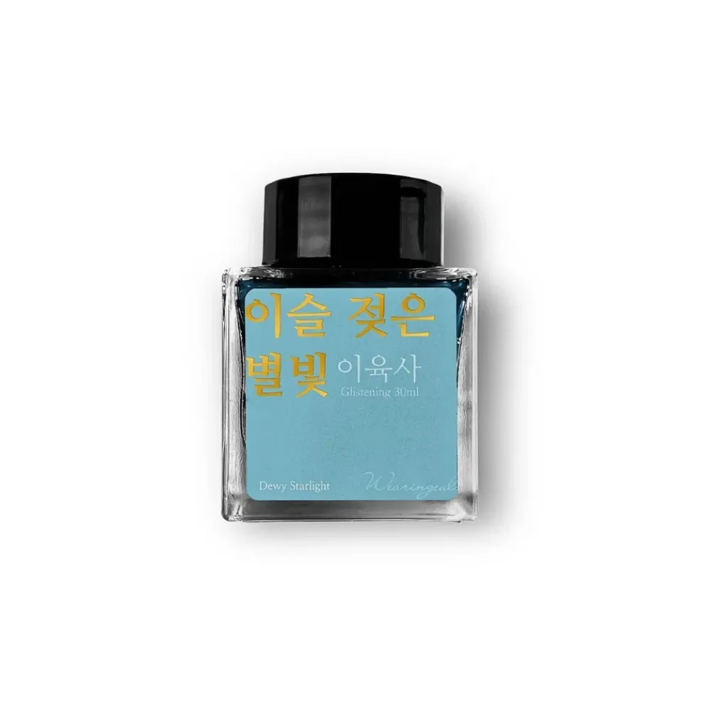 Wearingeul Lee Yuk Sa Literature Fountain Pen Ink – 30ml