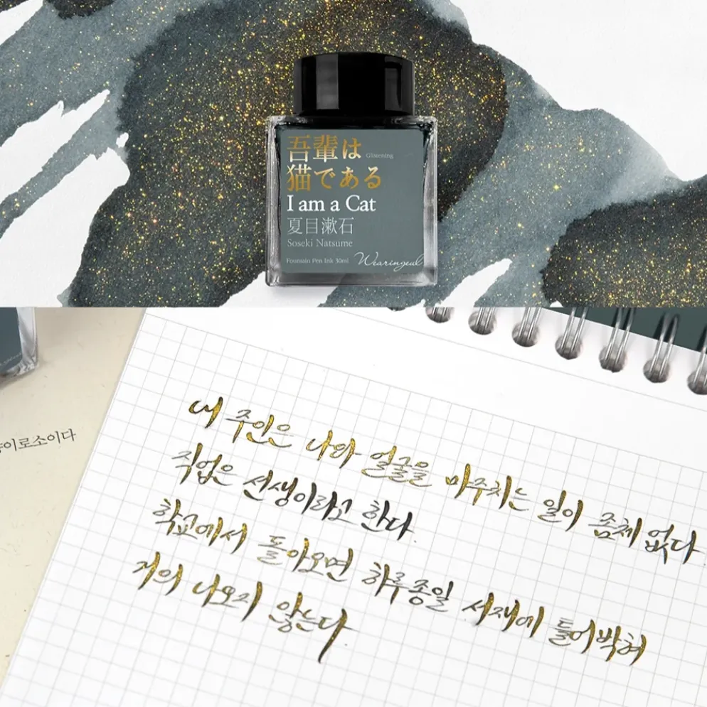 Wearingeul Natsume Soseki Literature Fountain Pen Ink 30ml
