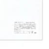 Yamamoto Paper Sanzen Tomoe River A4 Ultra-Light Writing Paper